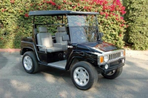 affordable golf cart rental, golf cart rent baton rouge golf cart rental 
